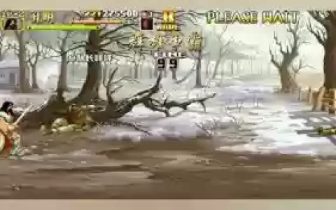 群雄争诸葛亮武器