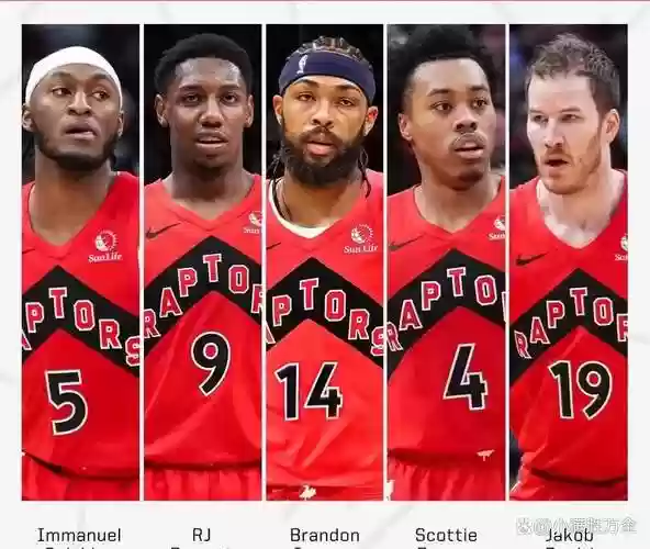 猛龙阵容今年_2插图 猛龙阵容今年_2插图