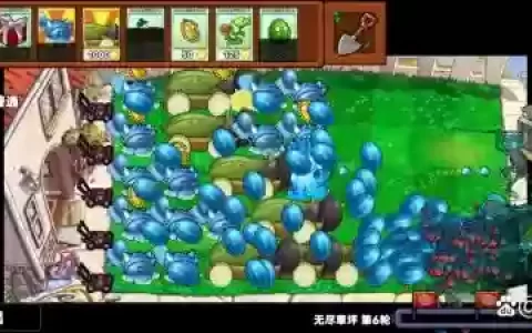 瓜流阵容
