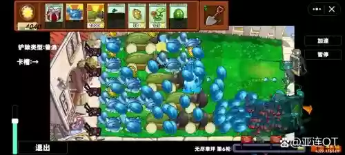 瓜流阵容插图