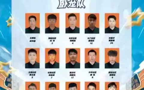 齐齐阵容