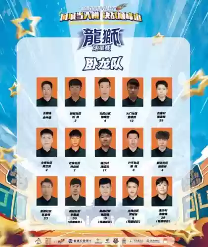齐齐阵容插图