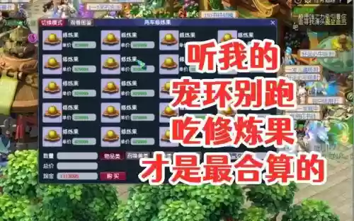 梦幻西游bb环怎么获得修炼果插图1