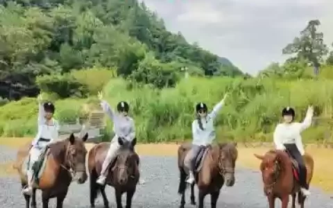 骑马阵容搭配