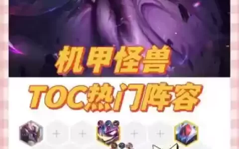 toc恶心阵容
