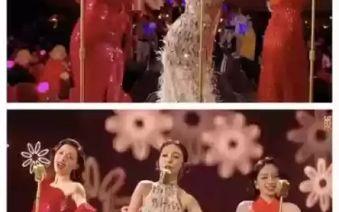 挽歌公主阵容搭配