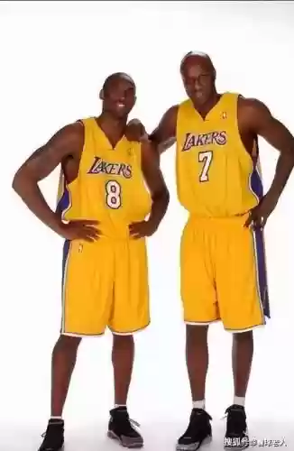 科比阵容搭配_1插图1 科比阵容搭配_1插图1