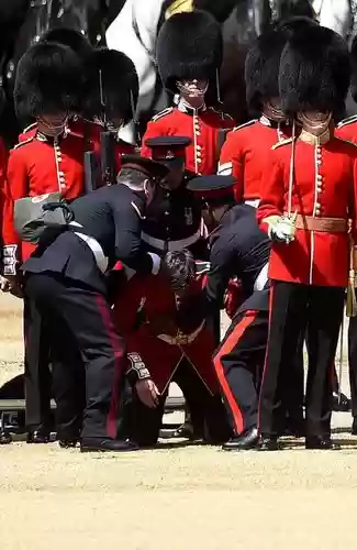 皇家卫队阵容插图1