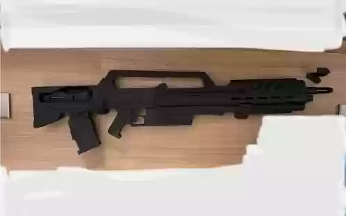 星河战队2.0装备2把枪插图 星河战队2.0装备2把枪插图