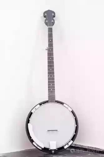 班卓攻略_1插图1 班卓攻略_1插图1