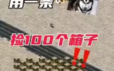 一个人一条狗装备全靠捡_1