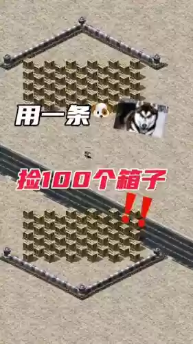 一个人一条狗装备全靠捡_1插图 一个人一条狗装备全靠捡_1插图