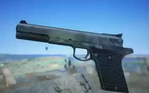 辐射4赛马场武器_3