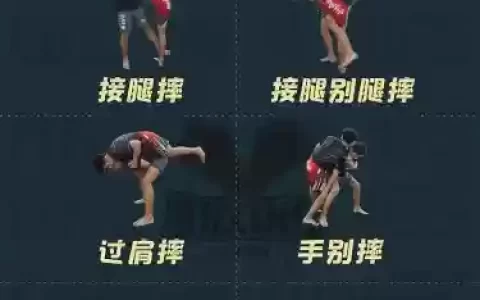 散打5.25技能摆法