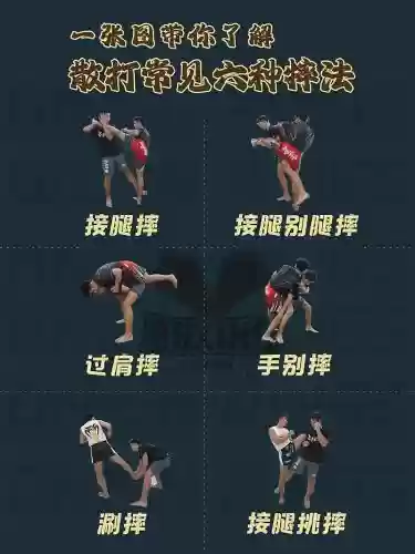 散打5.25技能摆法插图