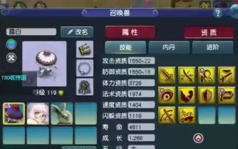 梦幻西游125级攻宠_1