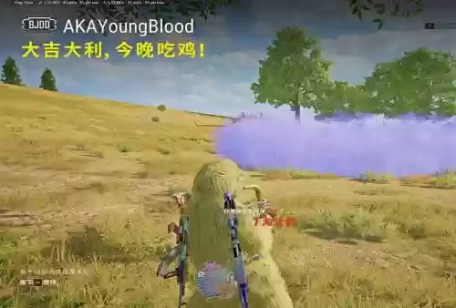 绝地大逃生攻略视频插图1