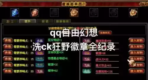 自由幻想关闭徽章技能插图1 自由幻想关闭徽章技能插图1