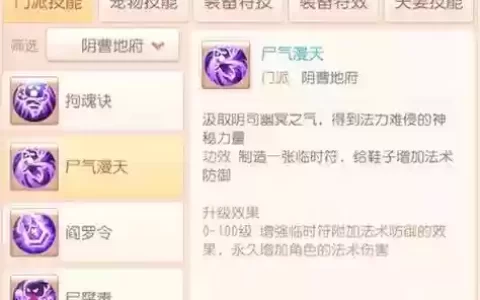 梦幻西游吸血临时符_2