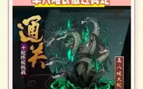 真大蛇2人攻略_1
