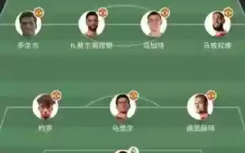 理想阵容讲解_2