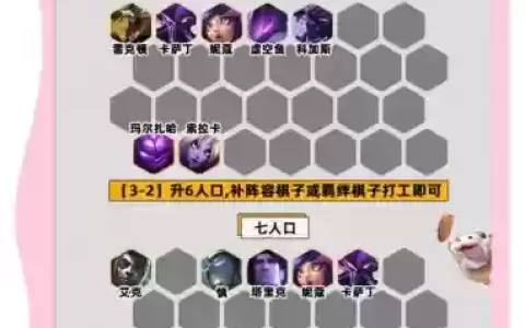 毒瘤阵容搭配