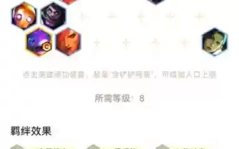 新版本圣盾使阵容最强搭配_1