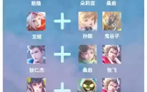 王者荣耀单人辅助阵容搭配
