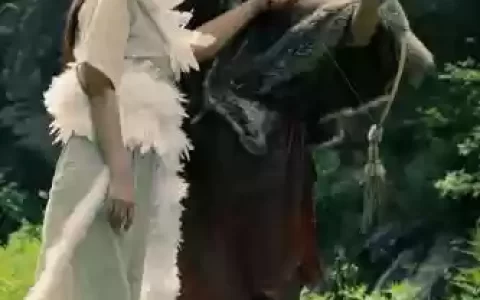 伏羲女娲阵容搭配_1