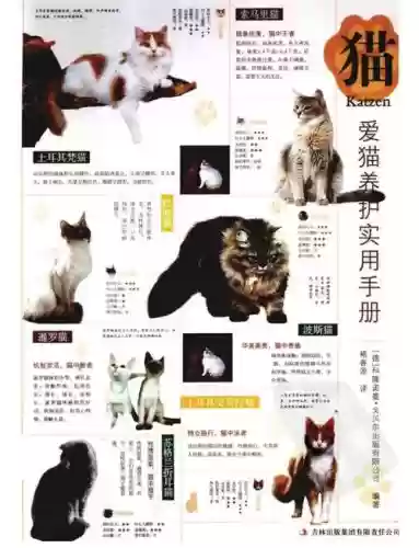 熹妃传猫用什么技能书插图1 熹妃传猫用什么技能书插图1