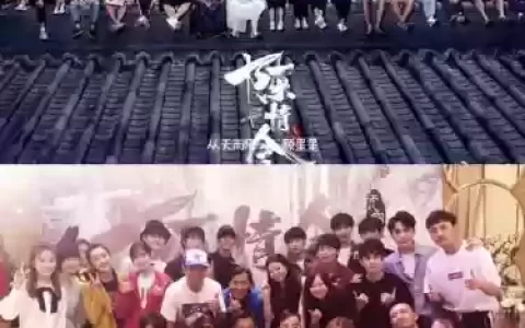 陈情好友阵容搭配