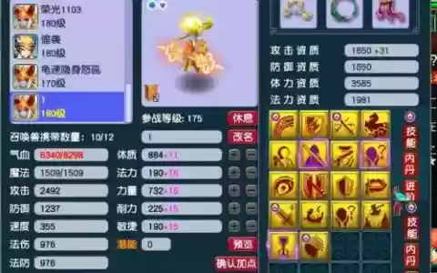 梦幻西游bb展示