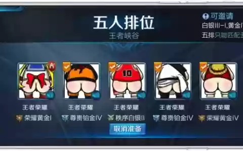 阵容五黑