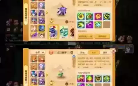 梦幻西游手游合宝宝6几_1