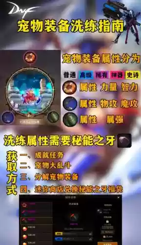 dnf宠物装备怎么得到的插图 dnf宠物装备怎么得到的插图