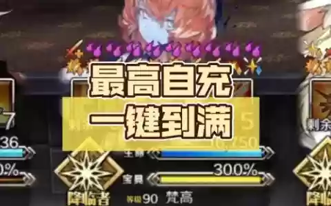 fgo闪闪三技能加多少np_2