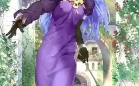 fgo美狄亚满级技能效果_1