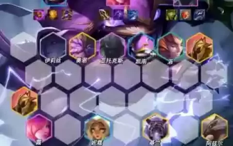 云顶之奕神盾战士阵容搭配_1