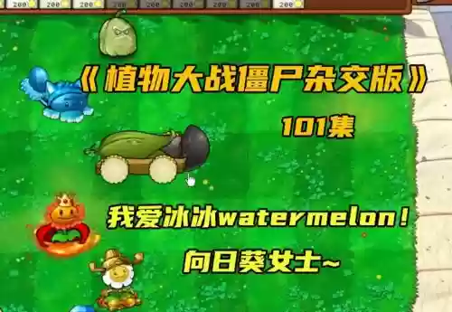 无敌小猫阵容_1插图1 无敌小猫阵容_1插图1