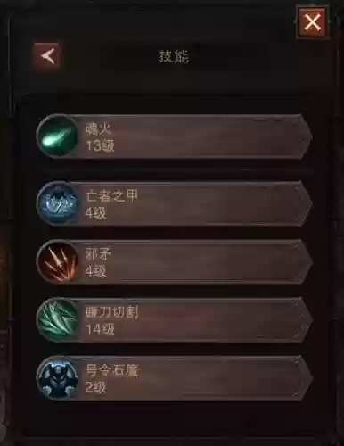 死灵法师玩什么武器插图1