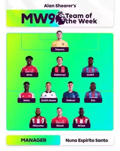 西奥多阵容搭配插图1