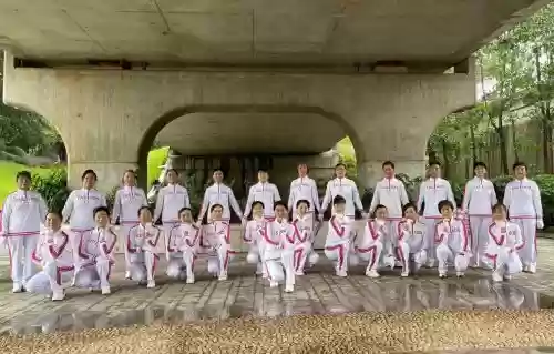 自贡女队阵容_1插图 自贡女队阵容_1插图