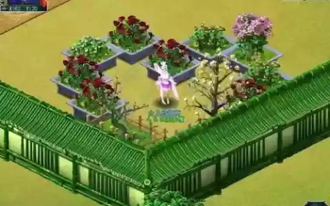 梦幻西游新区养花