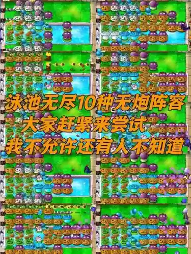 植物反击战十大阵容搭配插图1 植物反击战十大阵容搭配插图1