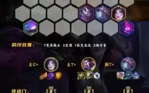 变异战士阵容搭配出装最新_1