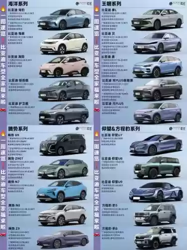 比亚迪新阵容搭配插图1 比亚迪新阵容搭配插图1