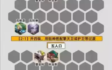 护卫阵容搭配推荐