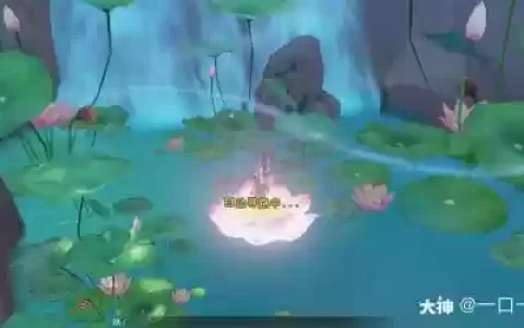 梦幻西游坐着的莲花