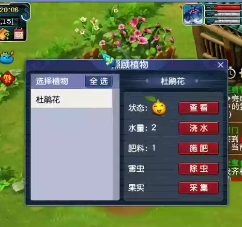 梦幻西游新区养花插图1 梦幻西游新区养花插图1