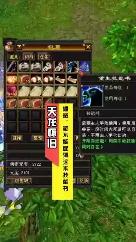 天龙洗孩子技能书插图 天龙洗孩子技能书插图